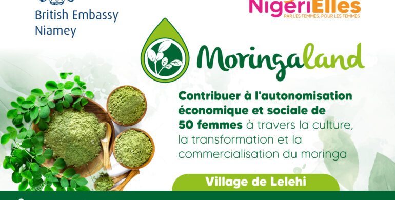 Moringaland – Formations sur la culture du Moringa